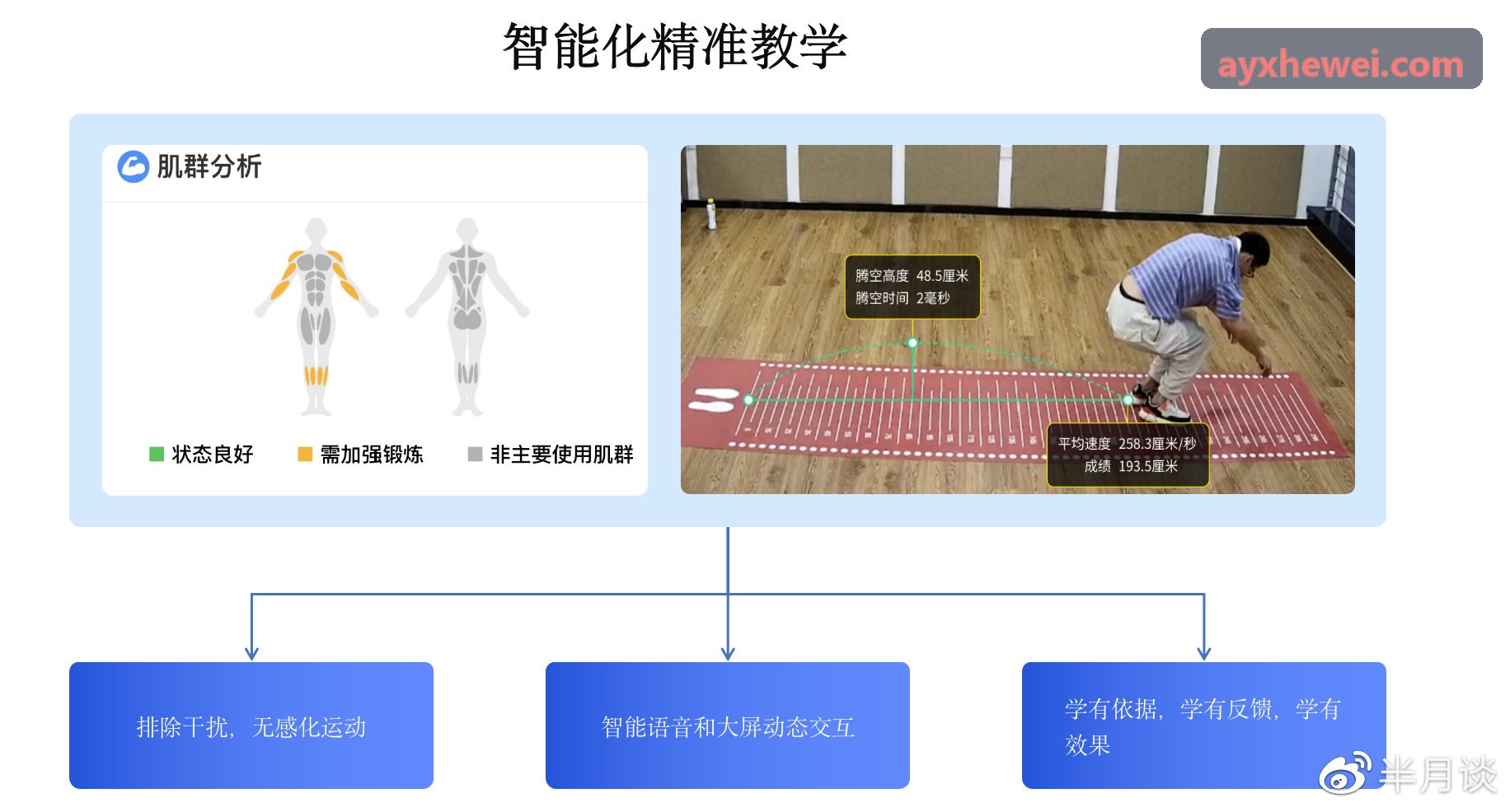 AYX-职业联赛梯队实战应用